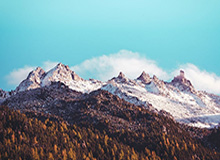 B体育登录入口-轻取生涯开门红 圣诞夜激战绿军才是纳什首个挑战